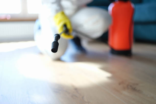 Best HVAC Mold Inspection and Cleaning  in Carver, MN