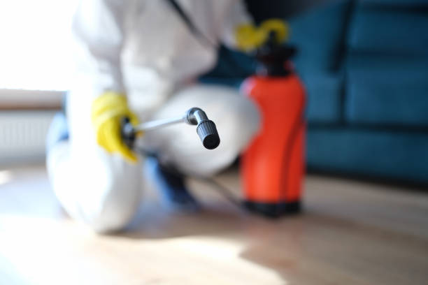 Best Residential Mold Inspection & Testing  in Carver, MN