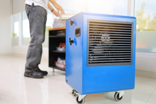 Mold Documentation for Insurance Claims in Carver, MN