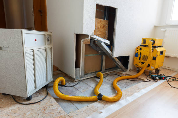Best Post-Remediation Verification Testing  in Carver, MN