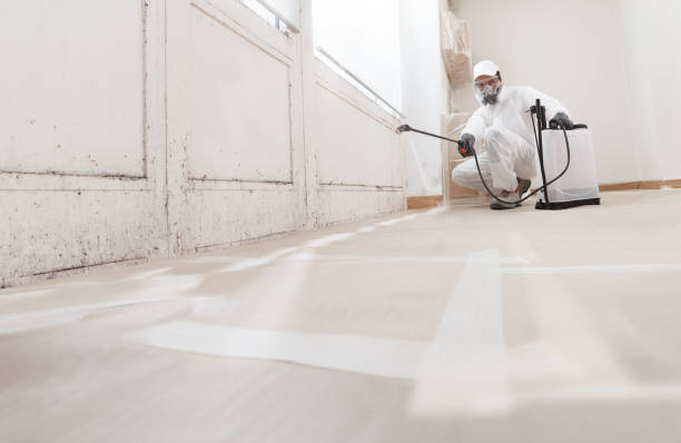 Biohazard Mold Removal in Carver, MN