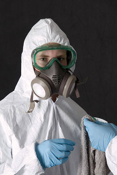 Best Attic Mold Removal  in Carver, MN
